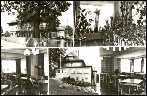 Ansichtskarte Lohmen (Sachsen) Mehrbild Ferienobjekt 1979