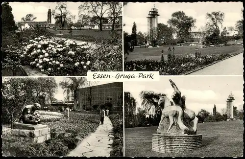 Ansichtskarte Essen (Ruhr) Mehrbildkarte Ansichten aus dem Grugapark 1957