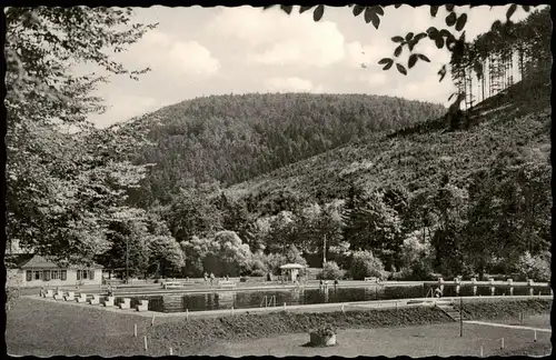 Ansichtskarte Zorge Wald-Schwimmbad Freibad 1964