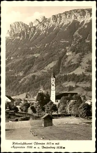Ansichtskarte Pfronten (Allgäu) Panorma mit Aggenstein Breitenberg 1953