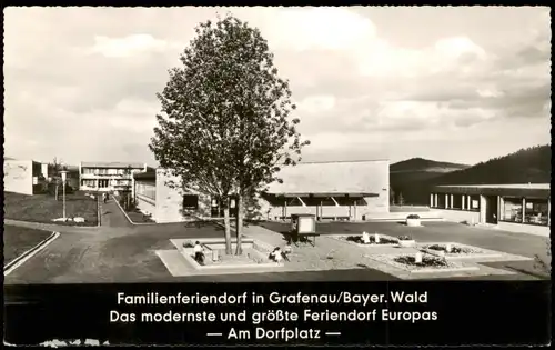 Grafenau (Niederbayern) Partie am Familienferiendorf im Bayer. Wald 1960
