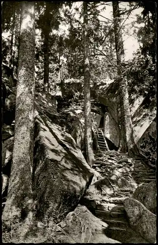 Luisenburg-Wunsiedel (Fichtelgebirge) Wald Partie im Fichtelgebirge 1961