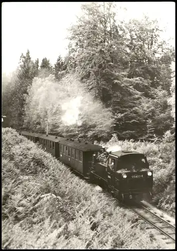 Schmalspurbahn Putbus-Göhren, am Fuß der Granitz Jagdschloss 1982/1983