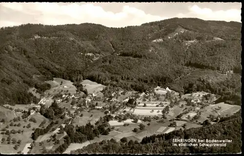 Badenweiler Luftbild SEHRINGEN bei Badenweiler im Schwarzwald 1966