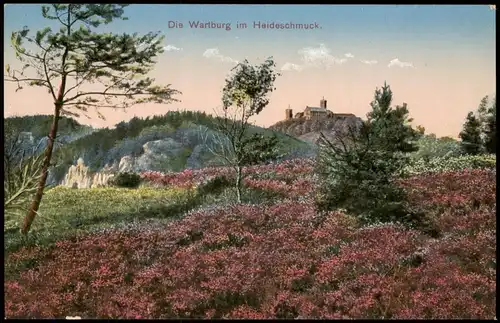 Ansichtskarte Eisenach Die Wartburg im Heideschmuck. 1912