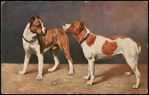 Ansichtskarte  Tiere - Hunde Hund - Künstlerkarte 1938