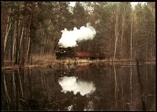 Schmalspurdampflokomotive 99 3317 Fotogüterzug bei Halbendor 2004