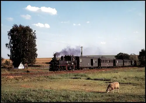 Ansichtskarte  Eisenbahn Schmalspur-Dampflokomotive 99 1561 bei Radeburg 1991