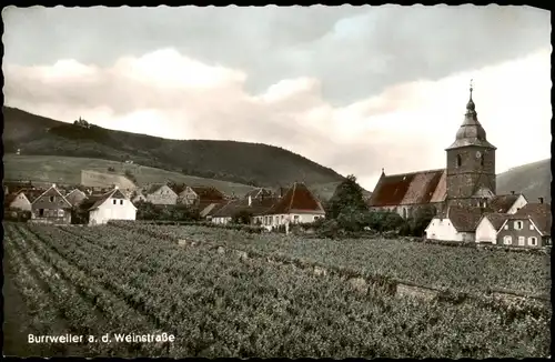 Ansichtskarte Burrweiler an der Weinstraße Panorama-Ansicht 1967