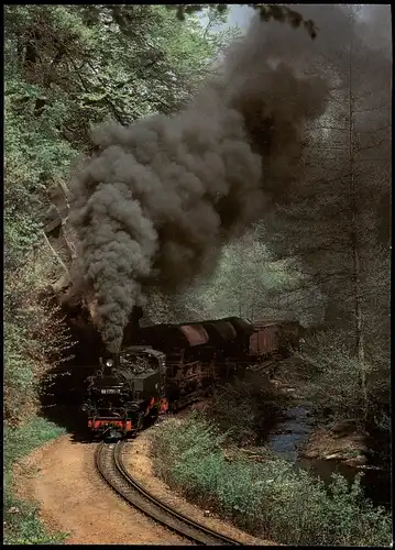 .Sachsen Rabenauer Grund - Schmalspurbahn Freital-Heinsberg-KBS 513 1993