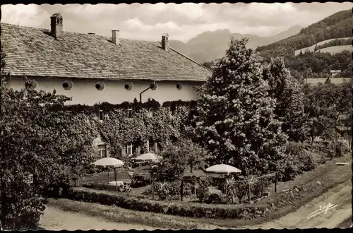 Ansichtskarte Frasdorf Gasthaus-Pension Niederauer 1955