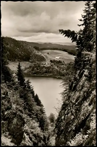 Ansichtskarte Feldberg (Schwarzwald) Feldsee Panorama Schwarzwald 1960