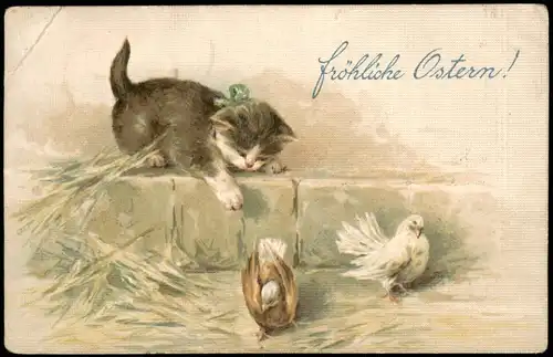 Ansichtskarte  Katze spielt mit Hennen Glückwunsch Ostern / Easter 1915