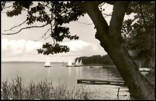 Ansichtskarte Plön Plöner See (Plön) 1972