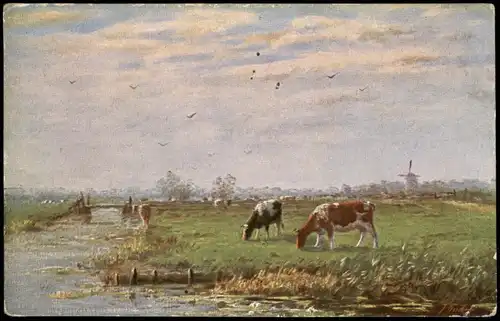 Ansichtskarte  Stimmungsbilder: Natur Windmühlen - Kühe 1928