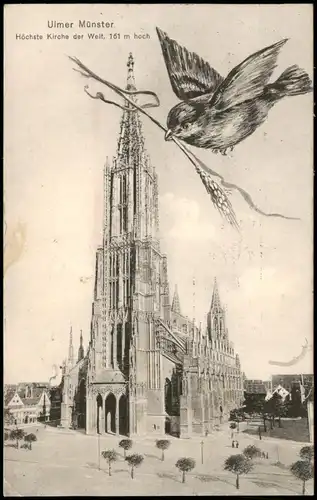 Ansichtskarte Ulm a. d. Donau Ulmer Münster, Spatz 1912  gel. Rollstempel