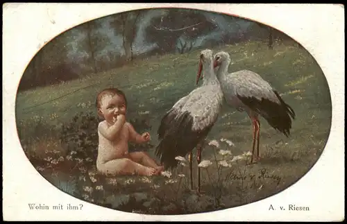 Künstlerkarte (Art) Künstler A.v. Riesen Wohin mit ihm? (Baby Störche) 1910
