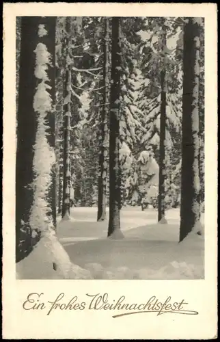 Ansichtskarte  Weihnachten Christmas Winter-Landschaft Wald 1940