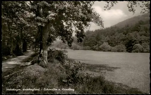 Veckerhagen-Reinhardshagen Weserbergland - Eichenallee a. Hemelberg 1960