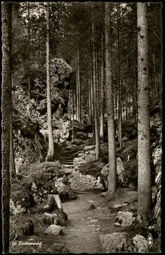 Ansichtskarte .Bayern Im Zauberwald Bayern (Allgemein) 1960