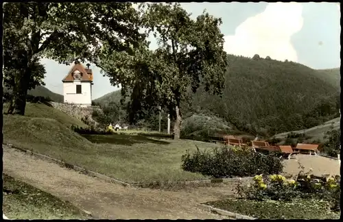 Ansichtskarte Wieda (Harz) Panorama-Ansicht mit Anlagen am Glockenturm 1965