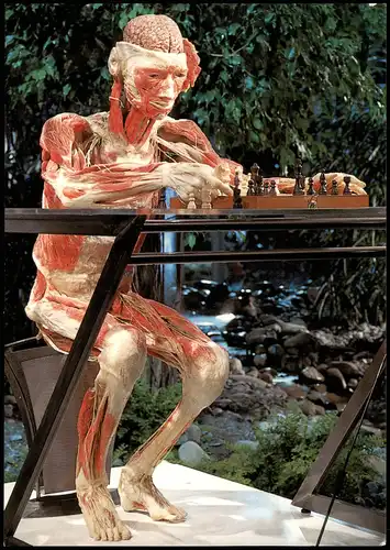 Ansichtskarte  Schach Chess Motivkarte mit Mensch aus Körperwelten 2000