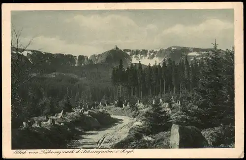 Schreiberhau Szklarska Poręba Schneegruben/Sněžné jámy vom Leiterweg 1928