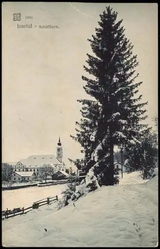 Kloster Schäftlarn-Schäftlarn Tanne vor dem Kloster, Winterlandschaft 1909