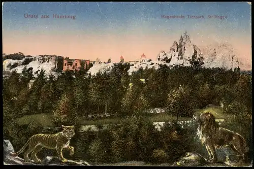 Stellingen-Hamburg Hagenbecks Tierpark Stellingen, Löwe, Tiger 1910