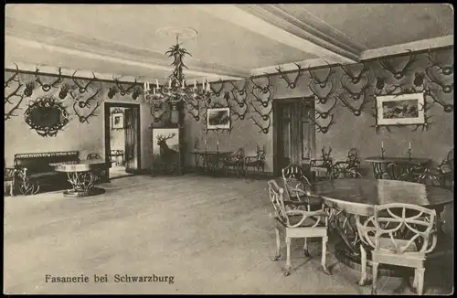 Ansichtskarte Schwarzburg Fasanerie bei Schwarzburg - Innenansicht 1912