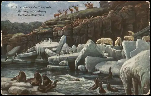 Stellingen-Hamburg Carl Hagenbeck's Tierpark Nordland - Panorama 1917