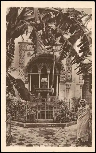 Oran ‏وهران‎ ORAN FONTAINE ET PALMIERS, BANANIERS DE LA MOSQUÉE 1910