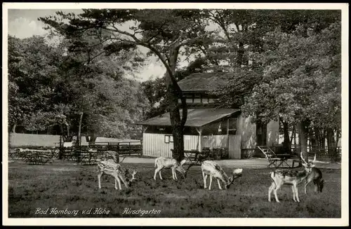 Ansichtskarte Bad Homburg vor der Höhe Hirschgarten 1934