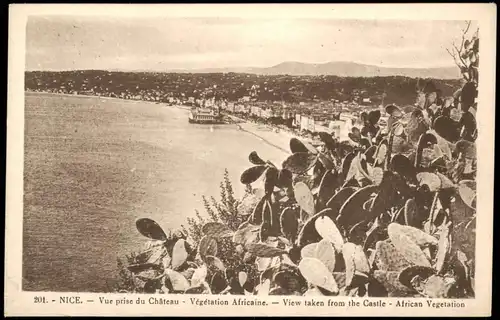 CPA Nizza Nice Vue prise du Château Végétation Africaine 1910