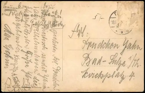 Ansichtskarte Wilhelmshaven Schwanenteich im Park. 1918