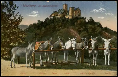Ansichtskarte Eisenach Wartburg, Esel mit Namen 1916
