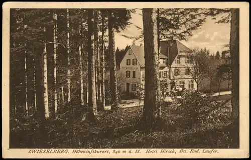 Ansichtskarte Zwieselberg-Freudenstadt Hotel Hirsch 1911