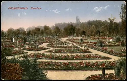 Ansichtskarte Sangerhausen Rosarium. 1914