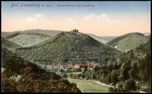 Ansichtskarte Bad Lauterberg im Harz Wiesenbektal und Hausberg. 1913