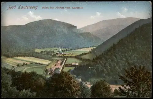 Ansichtskarte Bad Lauterberg im Harz Blick ins Odertal vom Kummel 1913