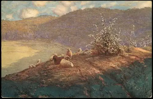Ansichtskarte  Künstlerkarte: Gemälde / Kunstwerke Berg Schafe Bock 1912