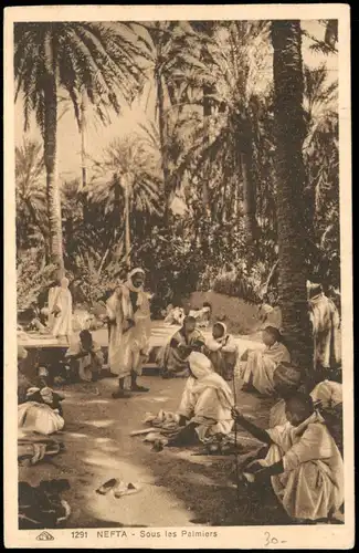 Postcard Nefta NEFTA Sous les Palmiers 1910