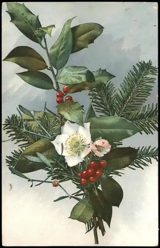 Ansichtskarte  Botanik :: Blumen, Bouquett Photochromie 1914