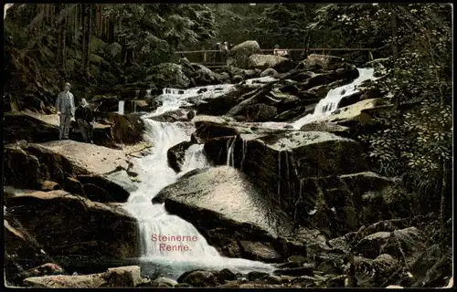 Ansichtskarte Wernigerode Steinerne Renne, Wanderer 1906