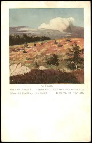 Künstlerkarte VŘES NA PASECE HEIDEKRAUT AUF DEM HOLZSCHLAGE 1917