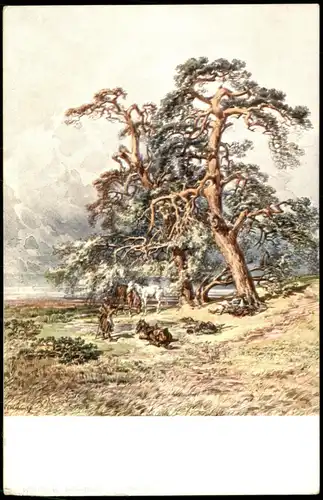 Morozenkové stromy ve stepi. Künstlerkarte: Gemälde / Kunstwerke 1923
