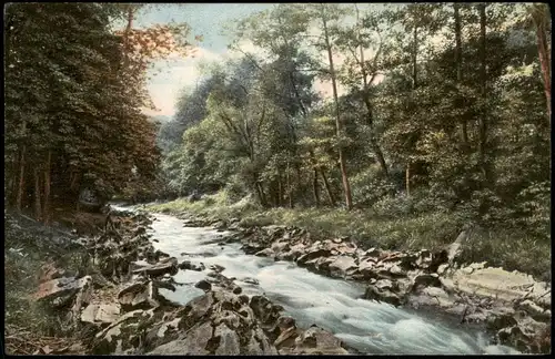Ansichtskarte .Baden-Württemberg Schwarzwald - Photochromie 1912