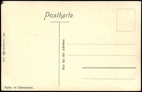 Ansichtskarte .Baden-Württemberg Schwarzwald - Photochromie 1912