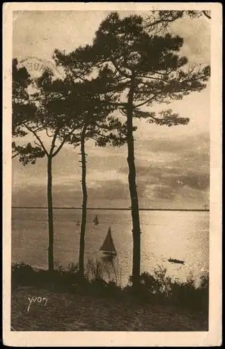 Arcachon Arcaishon ARCACHON Les Abatilles Trois Pins sur la Mer 1933