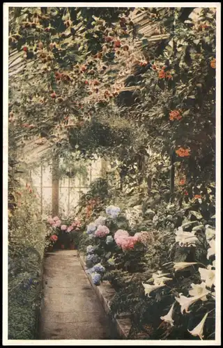 Ansichtskarte  Botanik :: Blumen THE CONSERVATORY (House No. 4) 1930